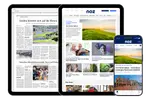 Abbildung der digitalen Nachrichtenprodukte: mit Smartphone App, Tablet als Website und als E-Paper.